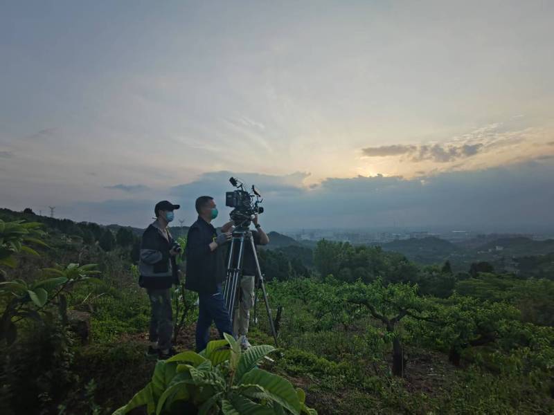 创意破圈！江干区电商产品宣传视频用故事化叙事引爆流量