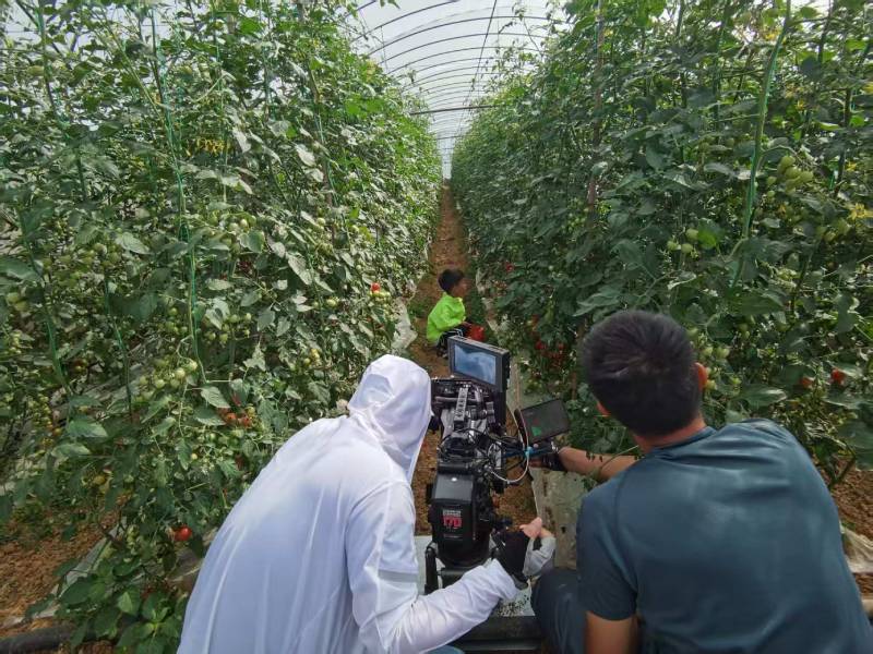 江干区产品宣传视频拍摄公司进阶指南，助力品牌抢占传播高地